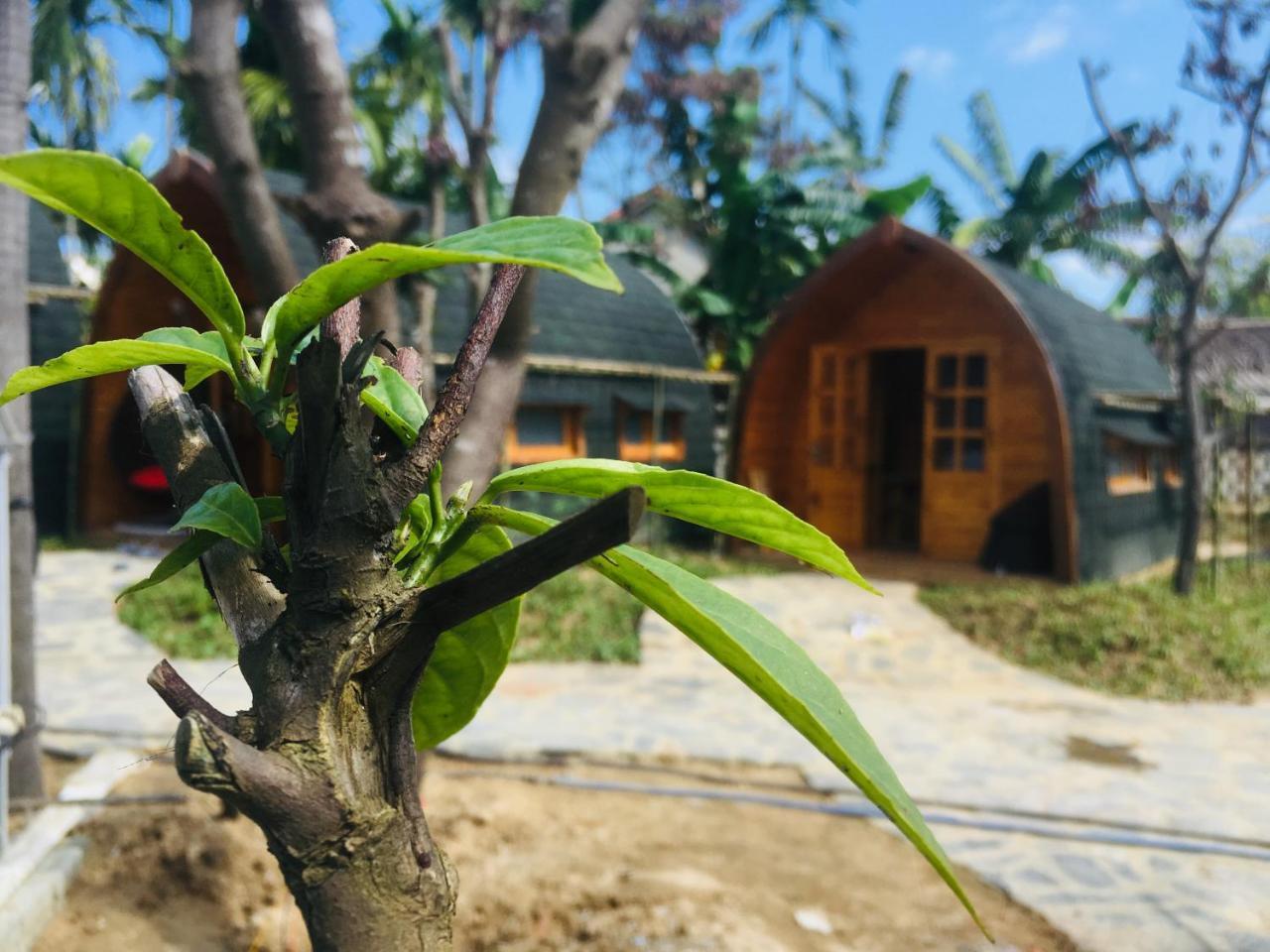 Coco-Farm Hoi An Appartement Buitenkant foto